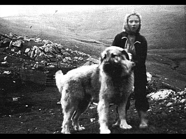 „Додолица бога моли“, песна за додоле