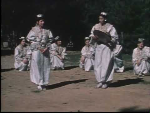 Свадбени песни кај албанската заедница